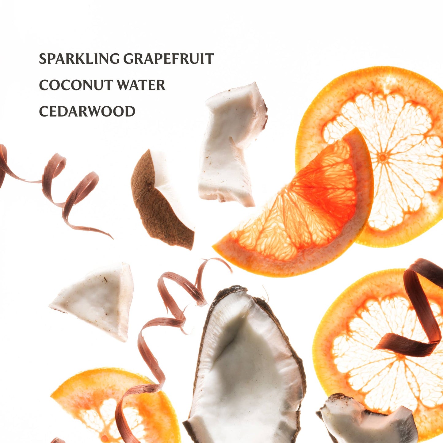 Touchland - Beach Coco Hand Sanitizer