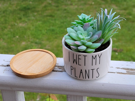 Funny Succulent Pots - White Ceramic Plant Pot
