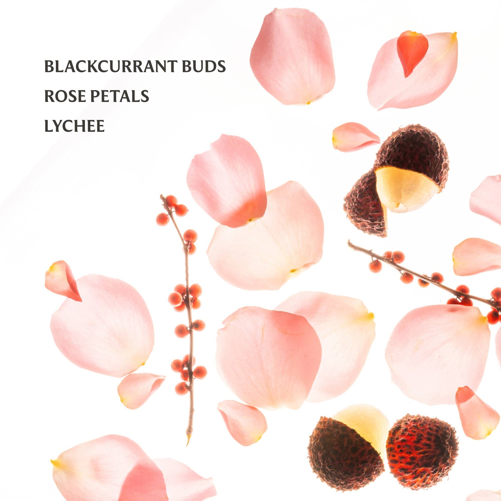 Premium Hand Sanitizer Collection - Threads Boutique