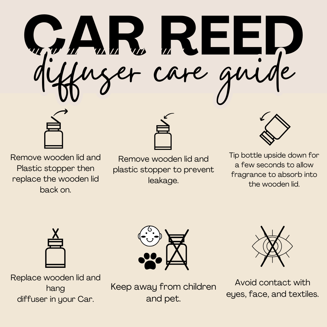 Hanging Car Diffusers | Fruity Rings