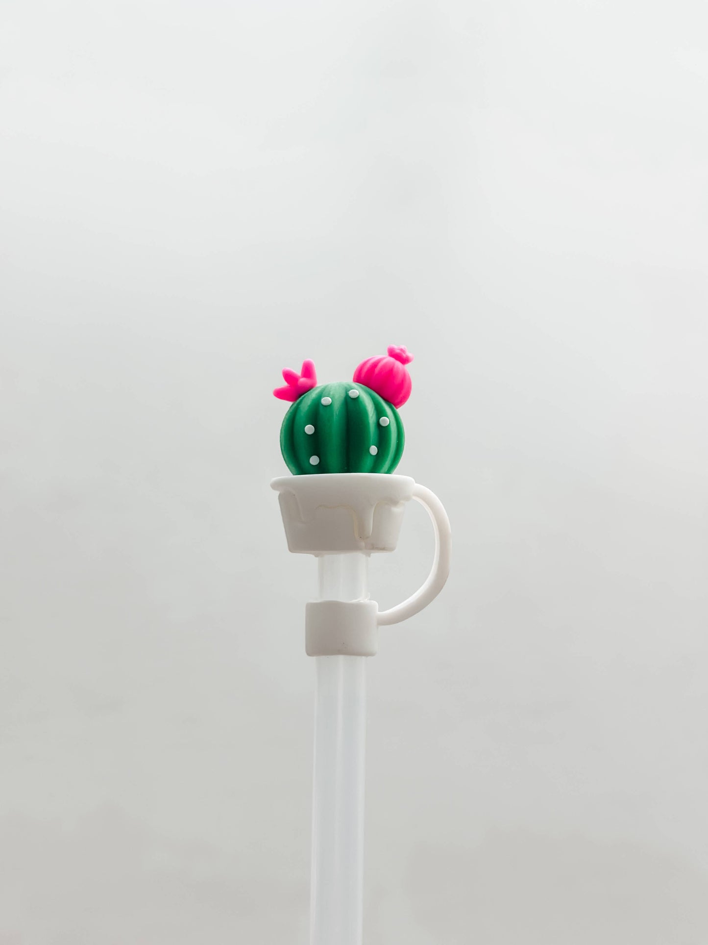 Straw Cover Pink Cactus